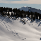 Now on View in New York, Paris, and London